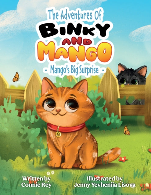 THE ADVENTURES OF BINKY AND MANGO: MANGO'S BIG SURPRISE