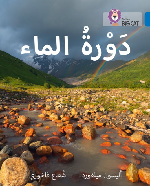 The Water Cycle: Level 16