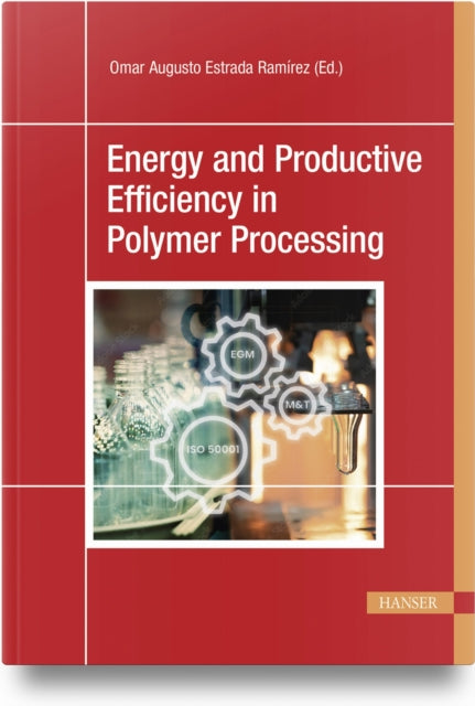 Energy and Productive Efficiency in Polymer Processing: A New Practical Approach with Real-Case Applications