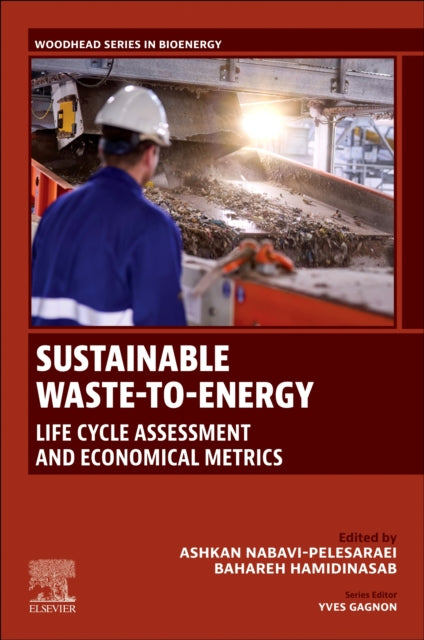 Sustainable Waste-to-Energy: Life Cycle Assessment and Economical Metrics