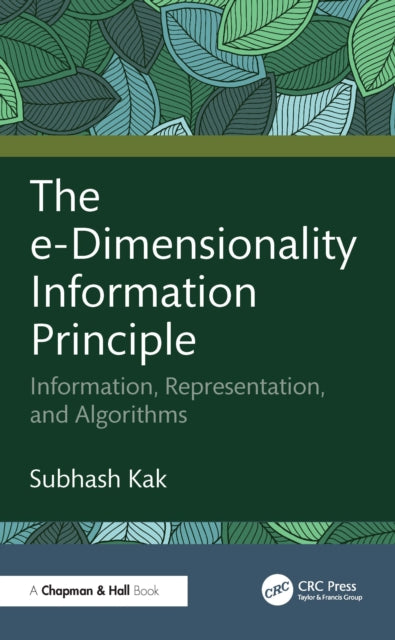 The e-Dimensionality Information Principle: Data, Representation, and Algorithms