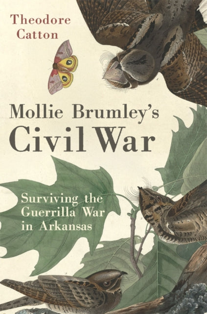 Mollie Brumley's Civil War: Surviving the Guerrilla War in Arkansas
