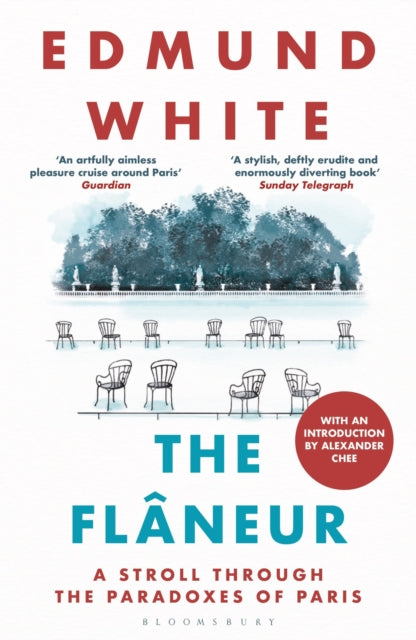 The Flaneur: A Stroll through the Paradoxes of Paris