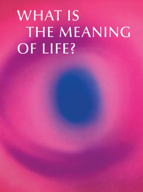 What is the Meaning of Life?: Making and Breaking the Rules We Live By