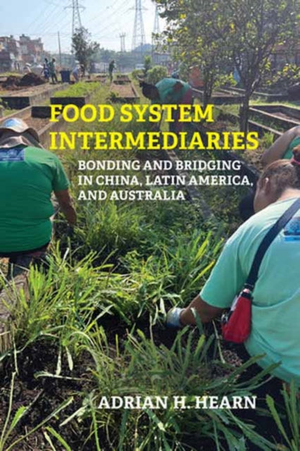 Food System Intermediaries: Bonding and Bridging in China, Latin America, and Australia