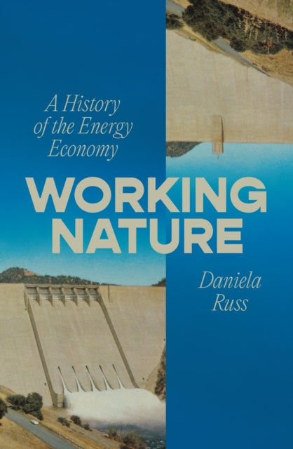 Working Nature: A History of the Energy Economy