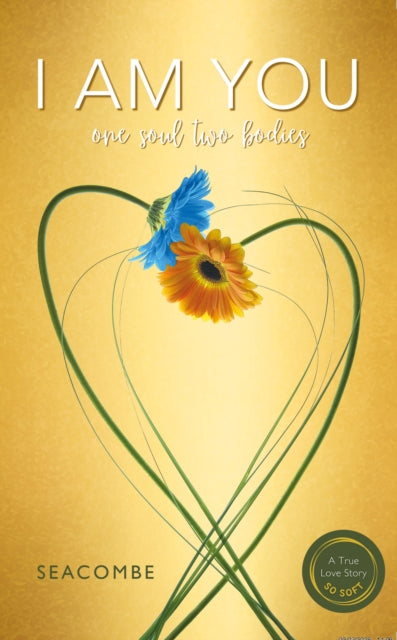 I AM YOU: One soul two bodies. A Twin-Flame Reunion