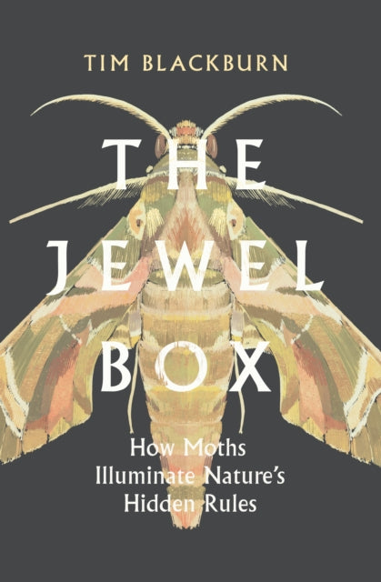 The Jewel Box: How Moths Illuminate Nature's Hidden Rules