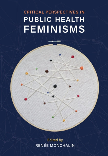 Critical Perspectives in Public Health Feminisms