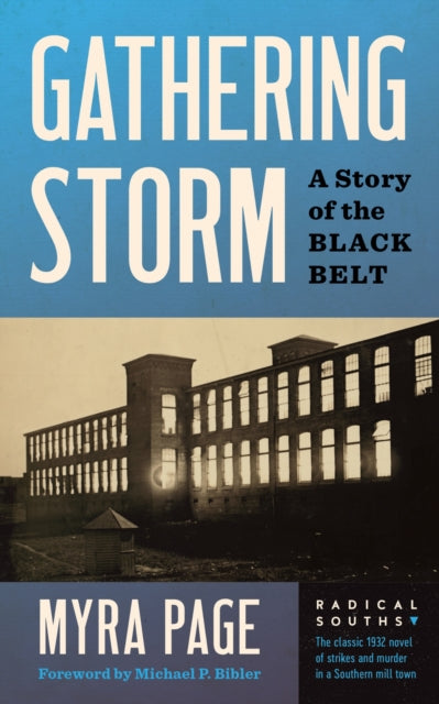Gathering Storm: A Novel of the Black Belt