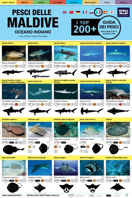 Maldive Guida Dei Pesci: I Top 200+ (Italian)