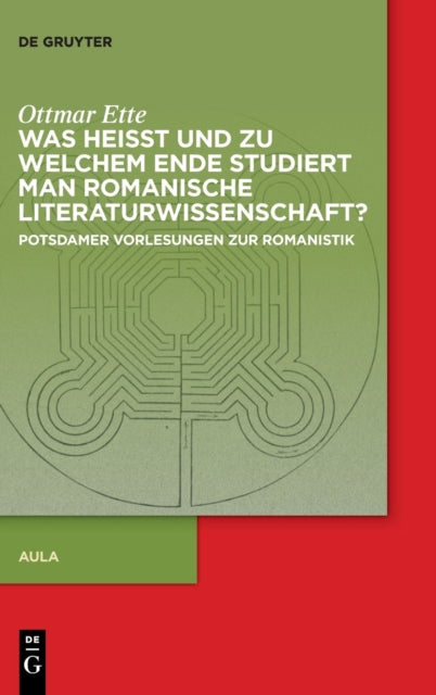 Was heisst und zu welchem Ende studiert man romanische Literaturwissenschaft?: Potsdamer Vorlesungen zur Romanistik