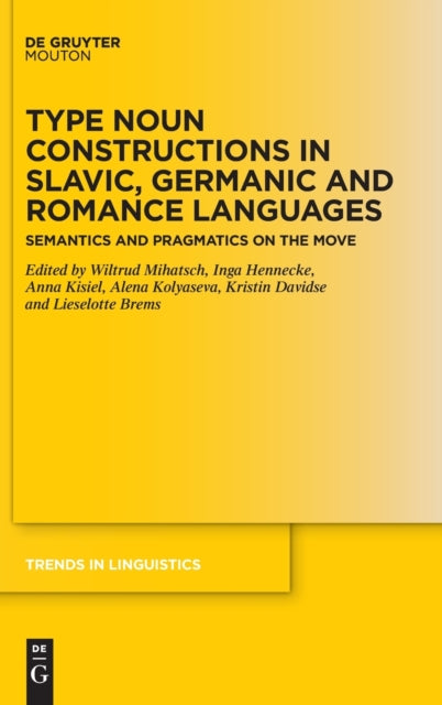 Type Noun Constructions in Slavic, Germanic and Romance Languages: Semantics and Pragmatics on the Move