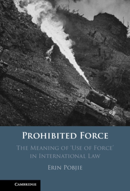 Prohibited Force: The Meaning of ‘Use of Force' in International Law