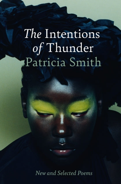 The Intentions of Thunder: New and Selected Poems