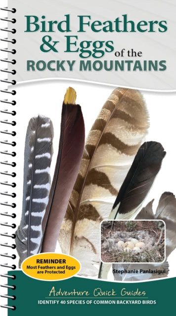 Bird Feathers & Eggs of the Rocky Mountains: Identify 40 Species of Common Backyard Birds