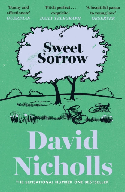 Sweet Sorrow: The Sunday Times bestselling novel of first love from the author of ONE DAY and YOU ARE HERE
