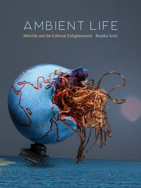 Ambient Life Volume 80: Melville and the Ethereal Enlightenment