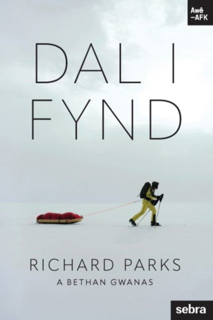 Stori Sydyn: Dal i Fynd