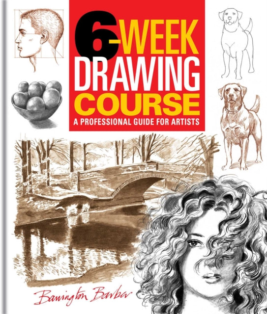 6-Week Drawing Course: A Professional Guide for Artists
