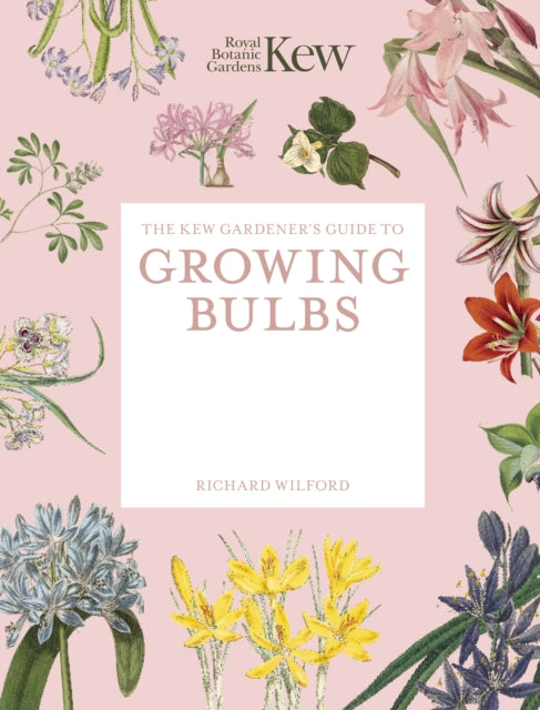 The Kew Gardener's Guide to Growing Bulbs: Paperback reissue