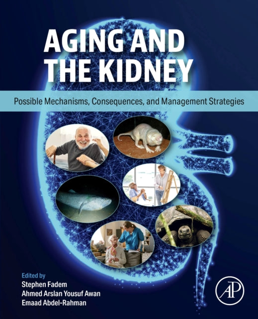 Aging and the Kidney: Mechanisms, Consequences, and Management Strategies