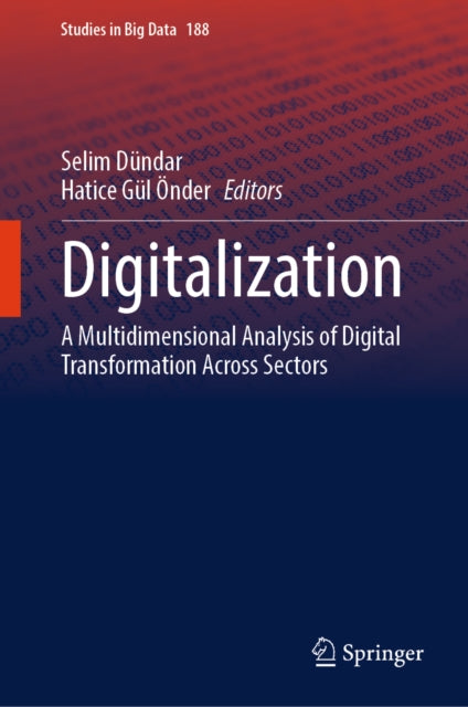 Digitalization: A Multidimensional Analysis of Digital Transformation Across Sectors