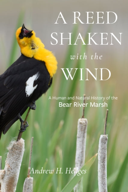 A Reed Shaken with the Wind: A Human and Natural History of the Bear River Marsh