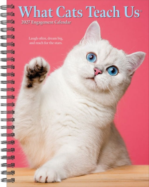 What Cats Teach Us 2027 Engagement
