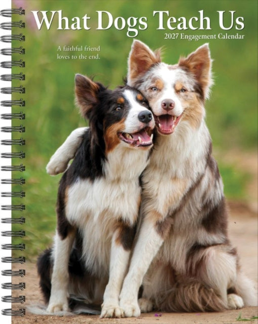 What Dogs Teach Us 2027 Engagement