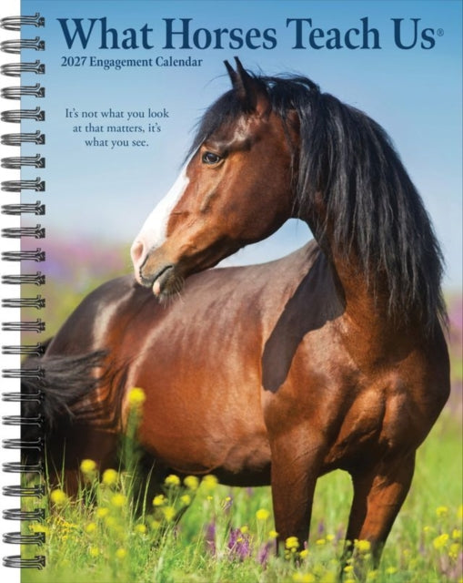 What Horses Teach Us 2027 Engagement