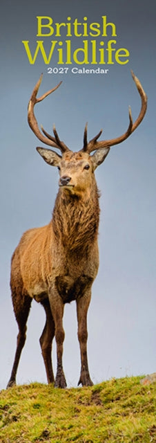 British Wildlife