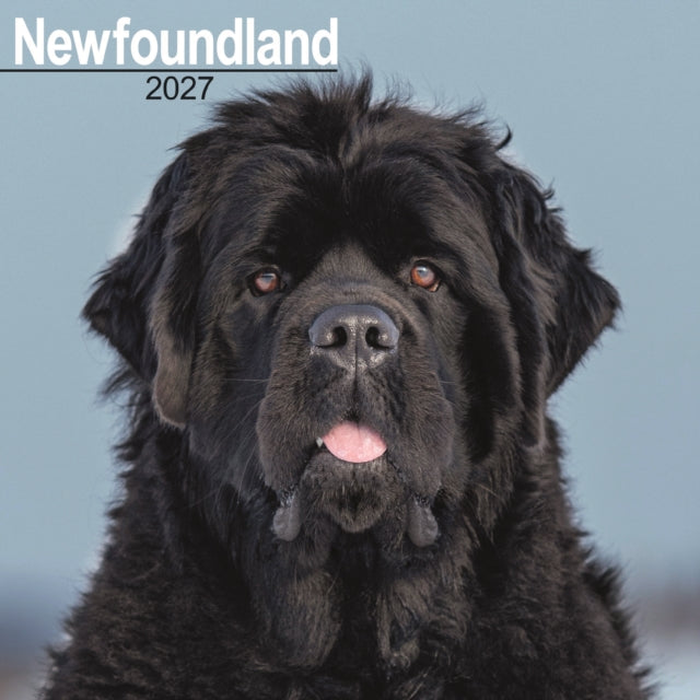 Newfoundland