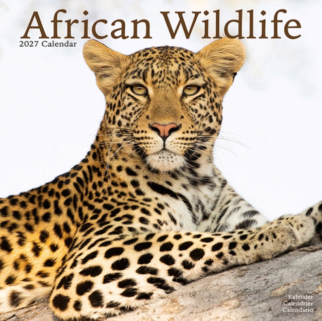 African Wildlife