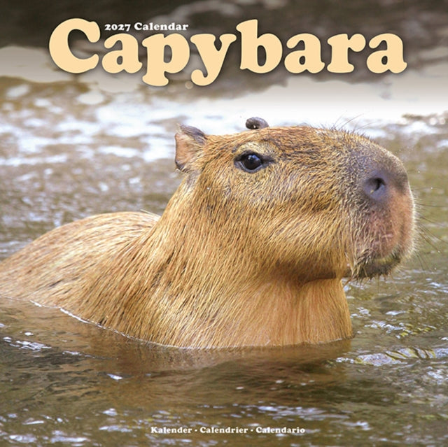 Capybara