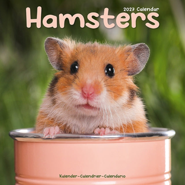 Hamsters