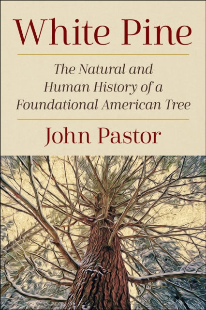 White Pine: The Natural and Human History of a Foundational American Tree