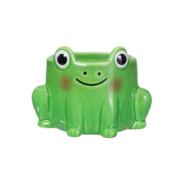 Frog Mini Planter cover