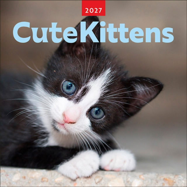 Cute Kittens 2027 Square BTAU cover