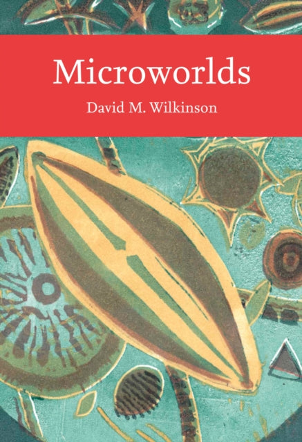 Microworlds cover