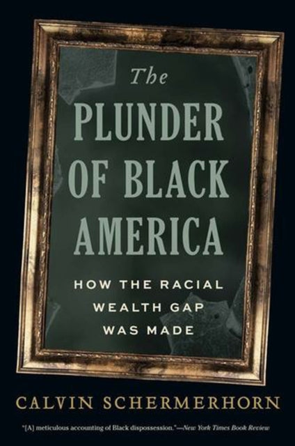 The Plunder of Black America cover
