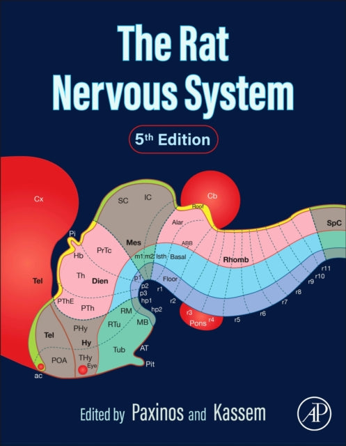 The Rat Nervous System cover