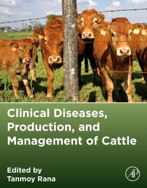 Clinical Diseases, Production, and Management of Cattle cover