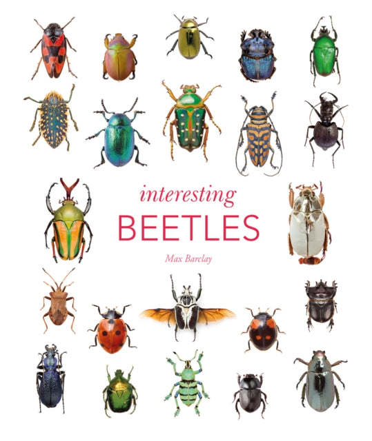 Interesting Beetles cover