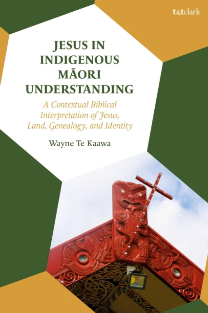 Jesus in Indigenous Maori Understanding cover