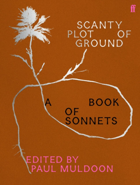 Scanty Plot of Ground cover