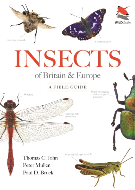 Insects of Britain and Europe cover
