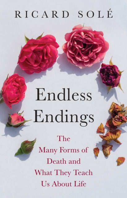 Endless Endings cover