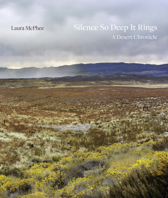Silence So Deep It Rings cover