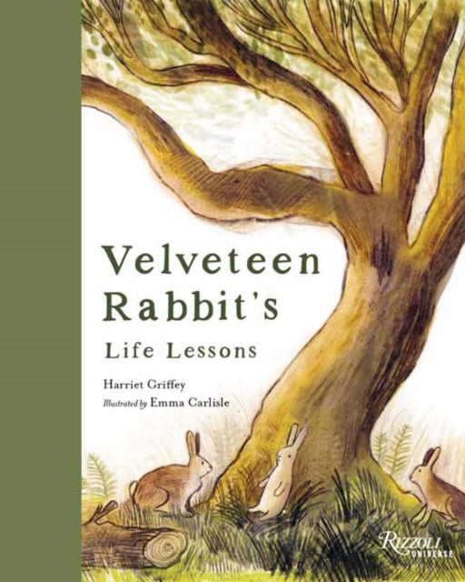 Velveteen Rabbit's Life Lessons cover